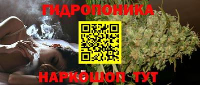 соль ск Ипатово