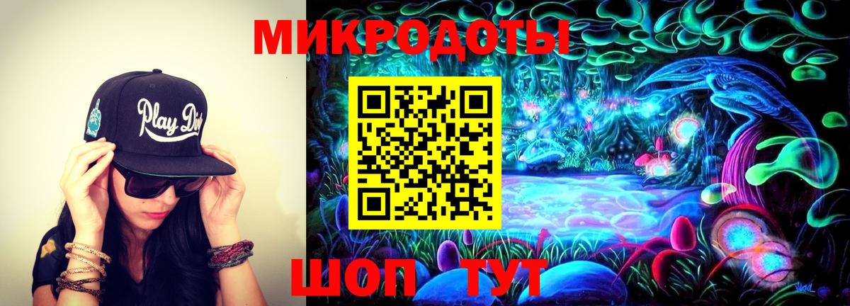Псилоцибиновые грибы Psilocybe  Вход с VPN  Тельмана 